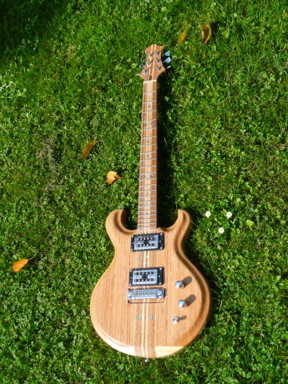 Bamboo Guitar